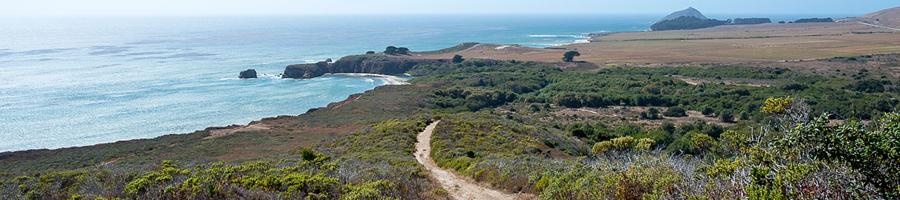 Trails