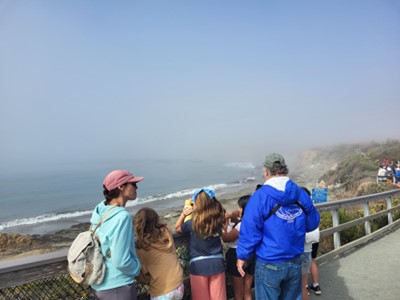 Viewing Ocean Viewing Ocean