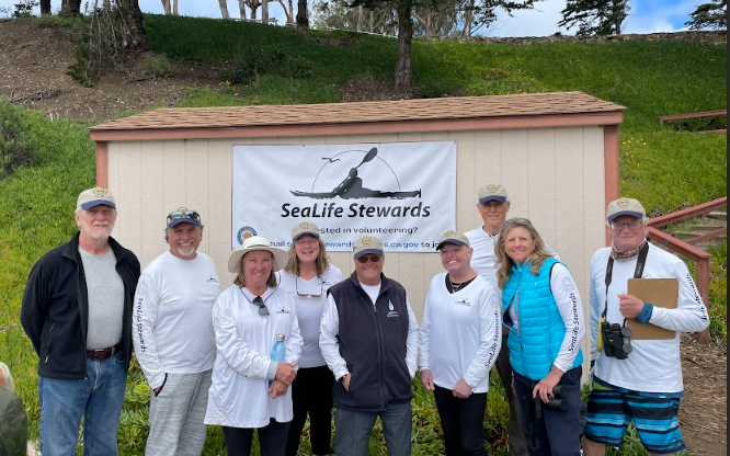 SeaLife Stewards Volunteer's