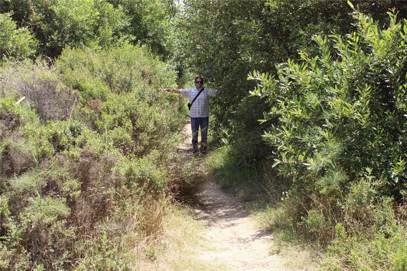 Invasive Species Removal 1 Invasive Species Removal 1