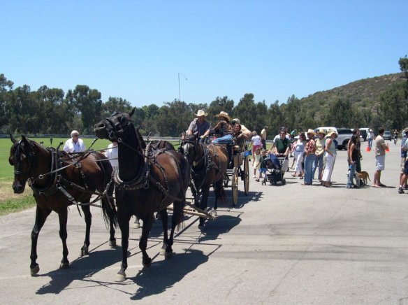 Wagon Rides provided a Free 15 minute trip around the park.
