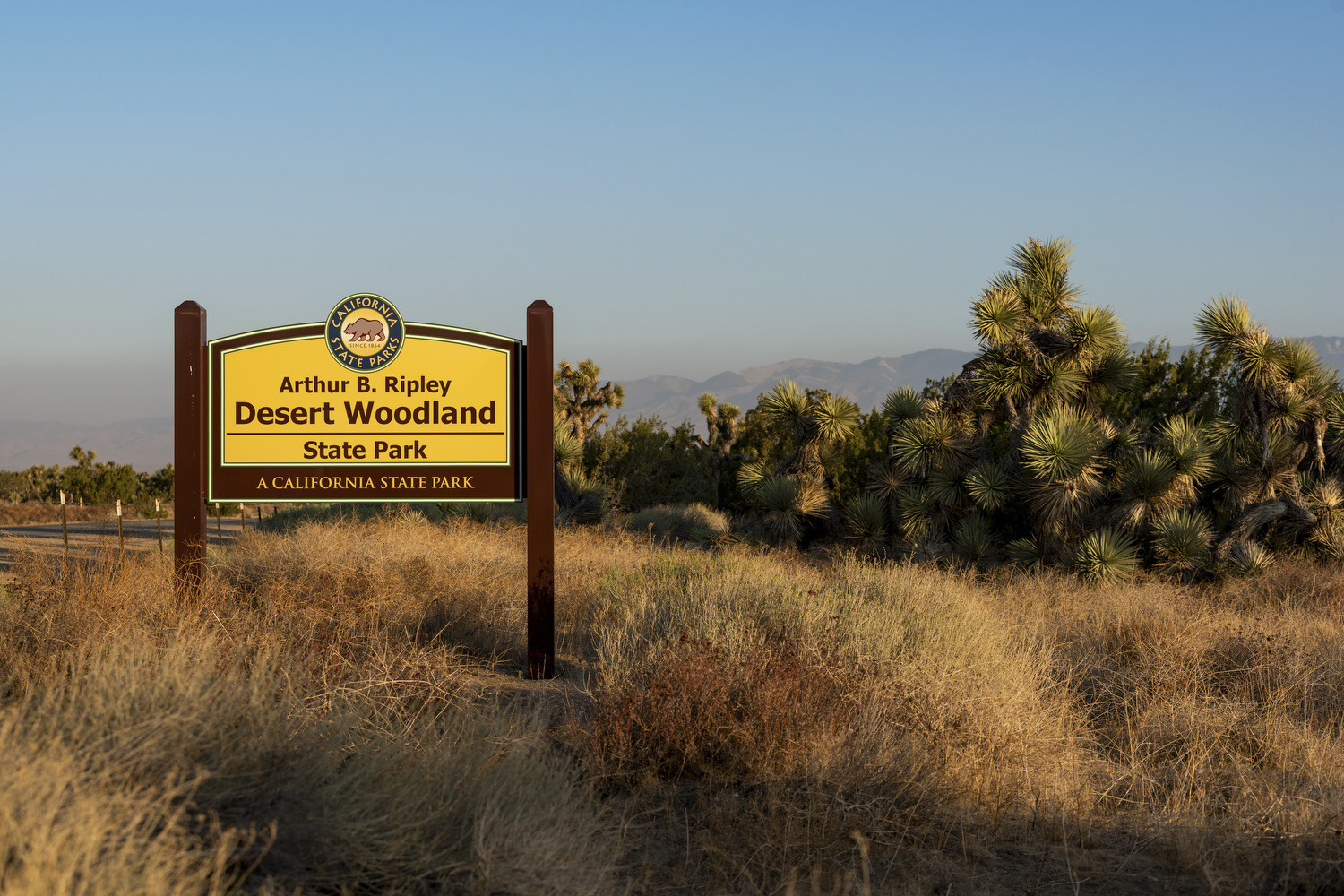 Arthur B. Ripley Desert Woodland State Park