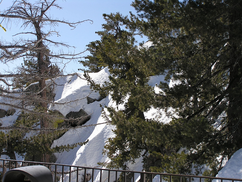Mount San Jacinto SP Thumbnail: Mount San Jacinto SP