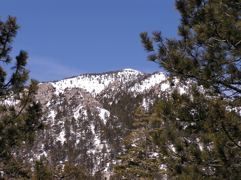 Mount San Jacinto SP Thumbnail: Mount San Jacinto SP