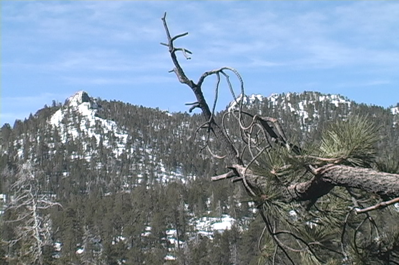 Mount San Jacinto SP Thumbnail: Mount San Jacinto SP