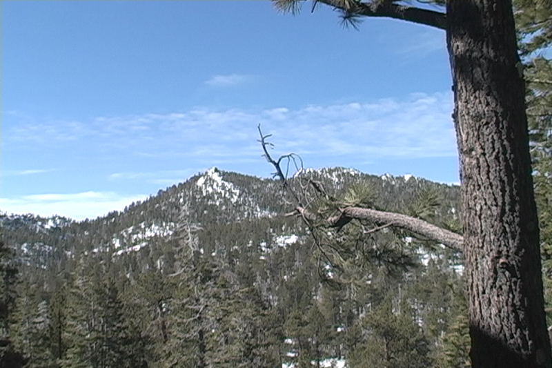 Mount San Jacinto SP Thumbnail: Mount San Jacinto SP