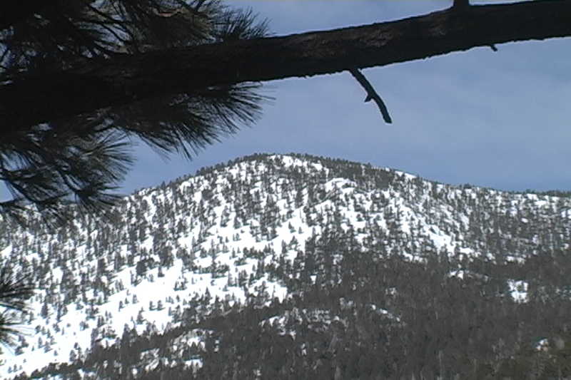 Mount San Jacinto SP Thumbnail: Mount San Jacinto SP