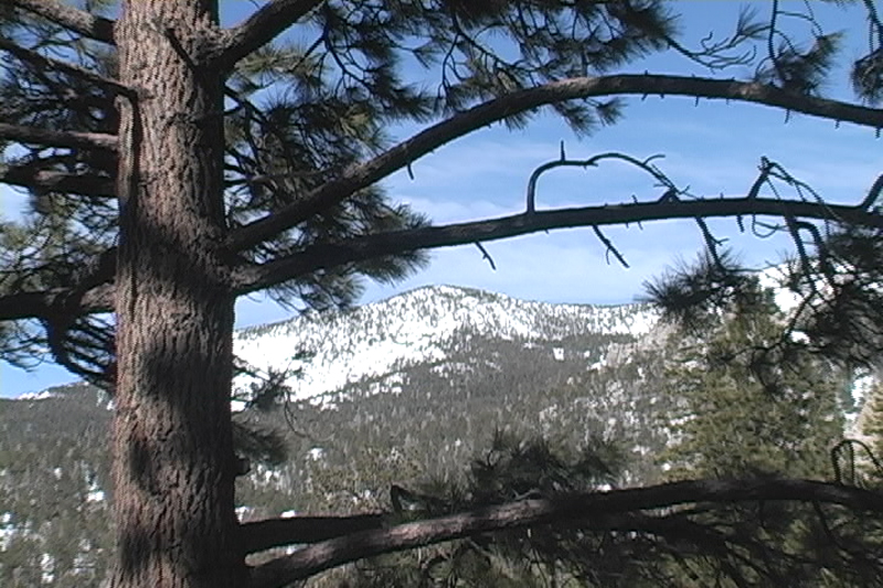 Mount San Jacinto SP Thumbnail: Mount San Jacinto SP