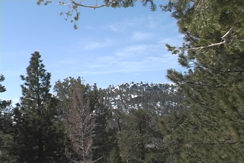 Mount San Jacinto SP Thumbnail: Mount San Jacinto SP