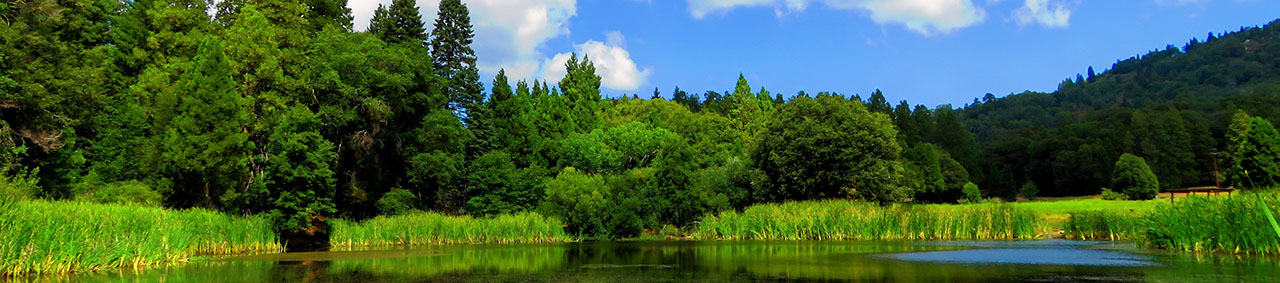 Palomar Mountain State Park
