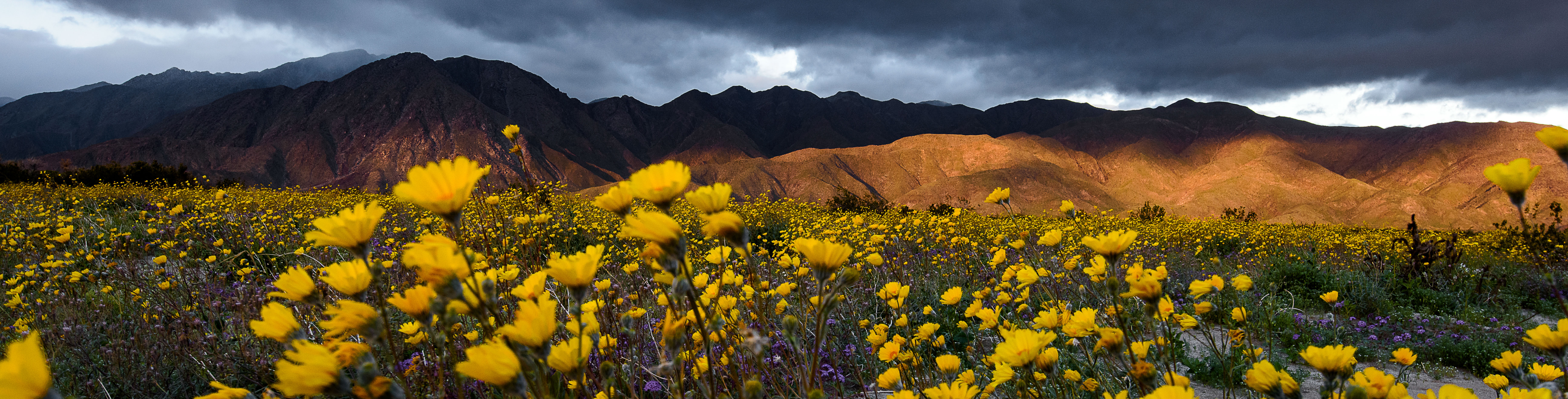 Anza-Borrego Desert State Park