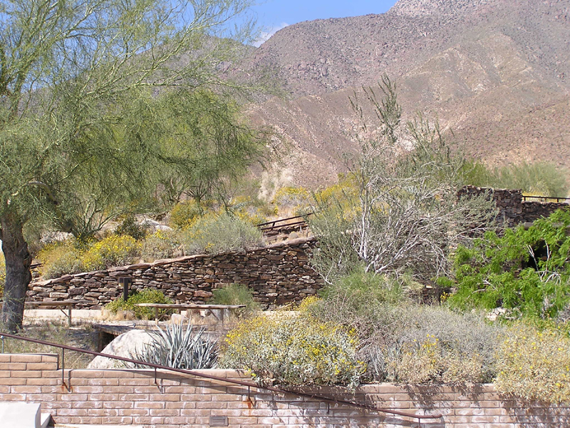 Image: Anza-Borrego Desert State Park Thumbnail: Image: Anza-Borrego Desert State Park