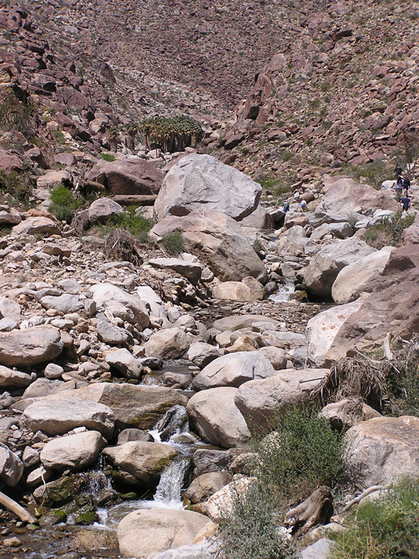 Image: Anza-Borrego Desert State Park Thumbnail: Image: Anza-Borrego Desert State Park