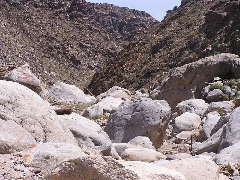 Image: Anza-Borrego Desert State Park Thumbnail: Image: Anza-Borrego Desert State Park