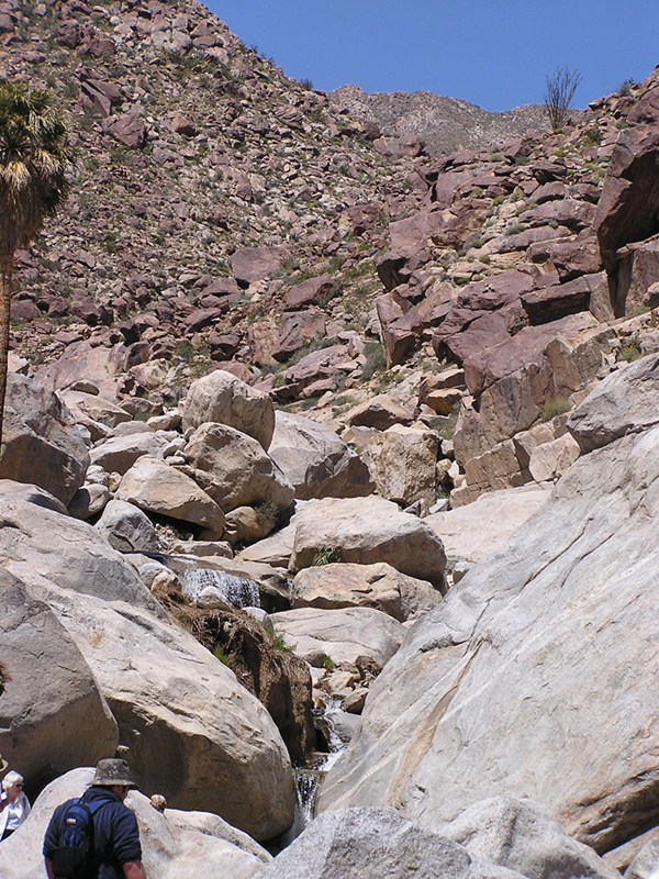 Image: Anza-Borrego Desert State Park Thumbnail: Image: Anza-Borrego Desert State Park