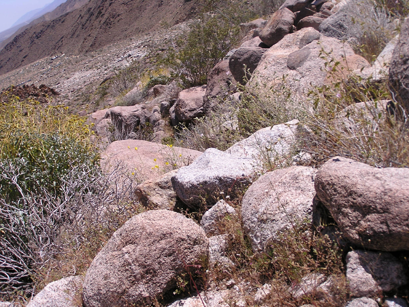 Image: Anza-Borrego Desert State Park Thumbnail: Image: Anza-Borrego Desert State Park