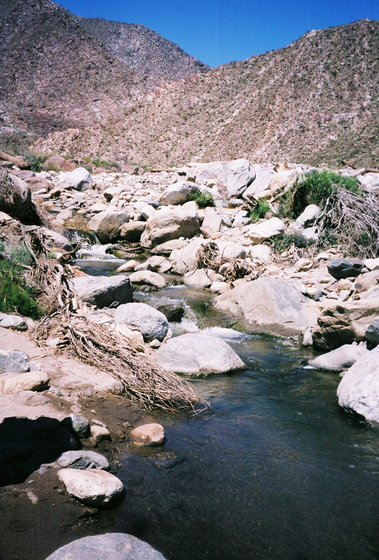 Image: Anza-Borrego Desert State Park Thumbnail: Image: Anza-Borrego Desert State Park