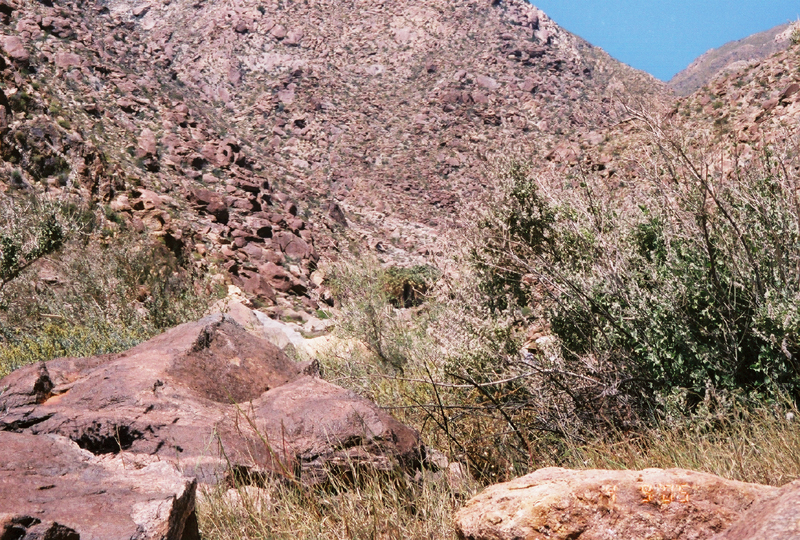 Image: Anza-Borrego Desert State Park Thumbnail: Image: Anza-Borrego Desert State Park