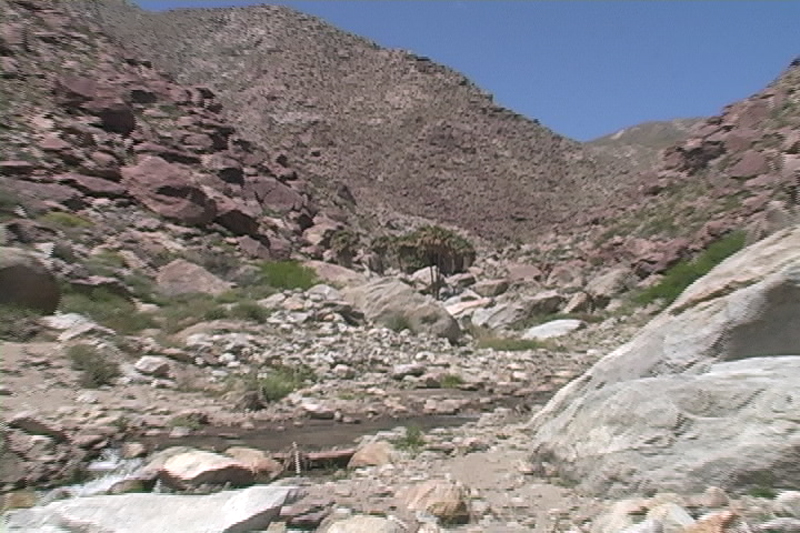 Image: Anza-Borrego Desert State Park Thumbnail: Image: Anza-Borrego Desert State Park