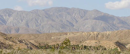 Indio Hills Palms State Property (Reserve) Thumbnail: Indio Hills Palms State Property (Reserve)