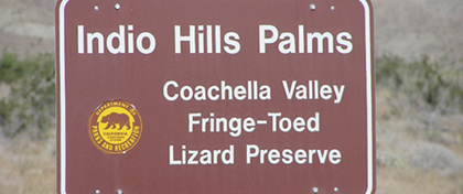 Indio Hills Palms State Property (Reserve) Thumbnail: Indio Hills Palms State Property (Reserve)