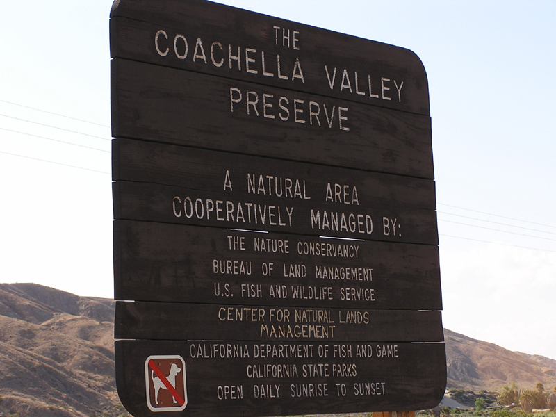 Indio Hills Palms State Property (Reserve) Thumbnail: Indio Hills Palms State Property (Reserve)