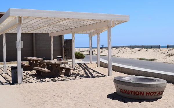 beach please beach bolsa