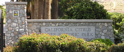 California Citrus SHP Thumbnail: California Citrus SHP