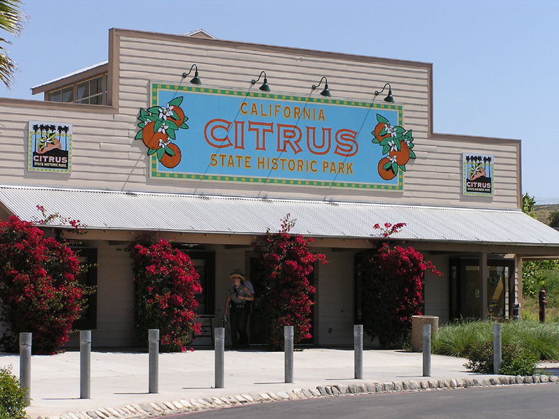 California Citrus SHP Thumbnail: California Citrus SHP