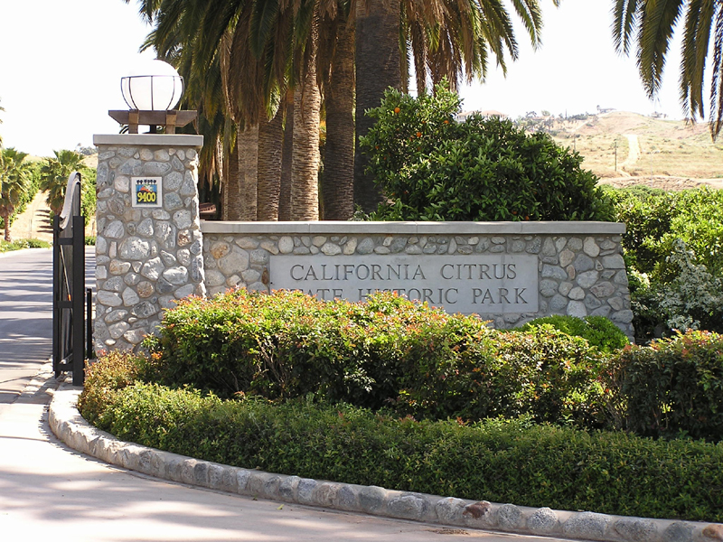 California Citrus SHP Thumbnail: California Citrus SHP