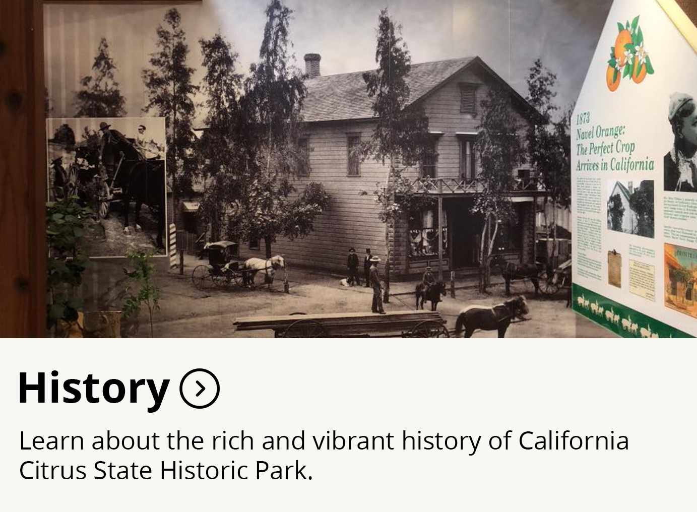 california-citrus-state-historic-park