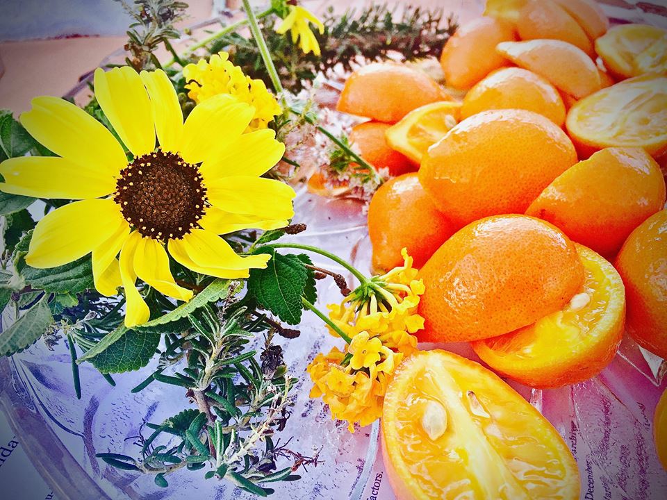flowernfruit flowernfruit