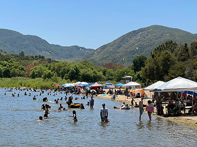 Swimming Image