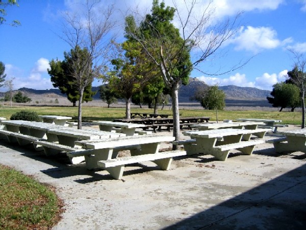 Group Picnic 1