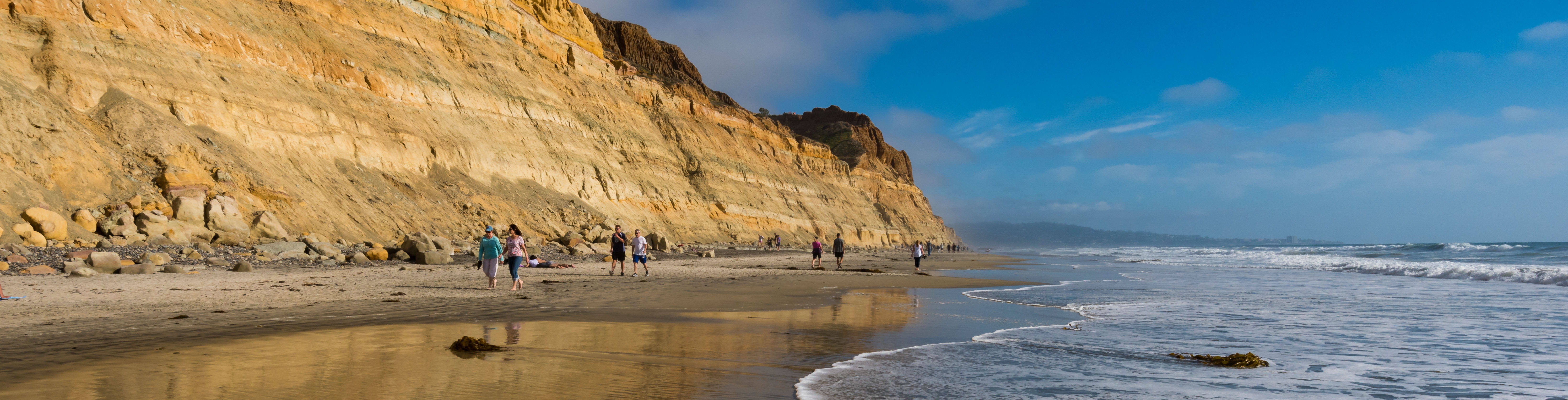 Torrey Pines State Natural Reserve