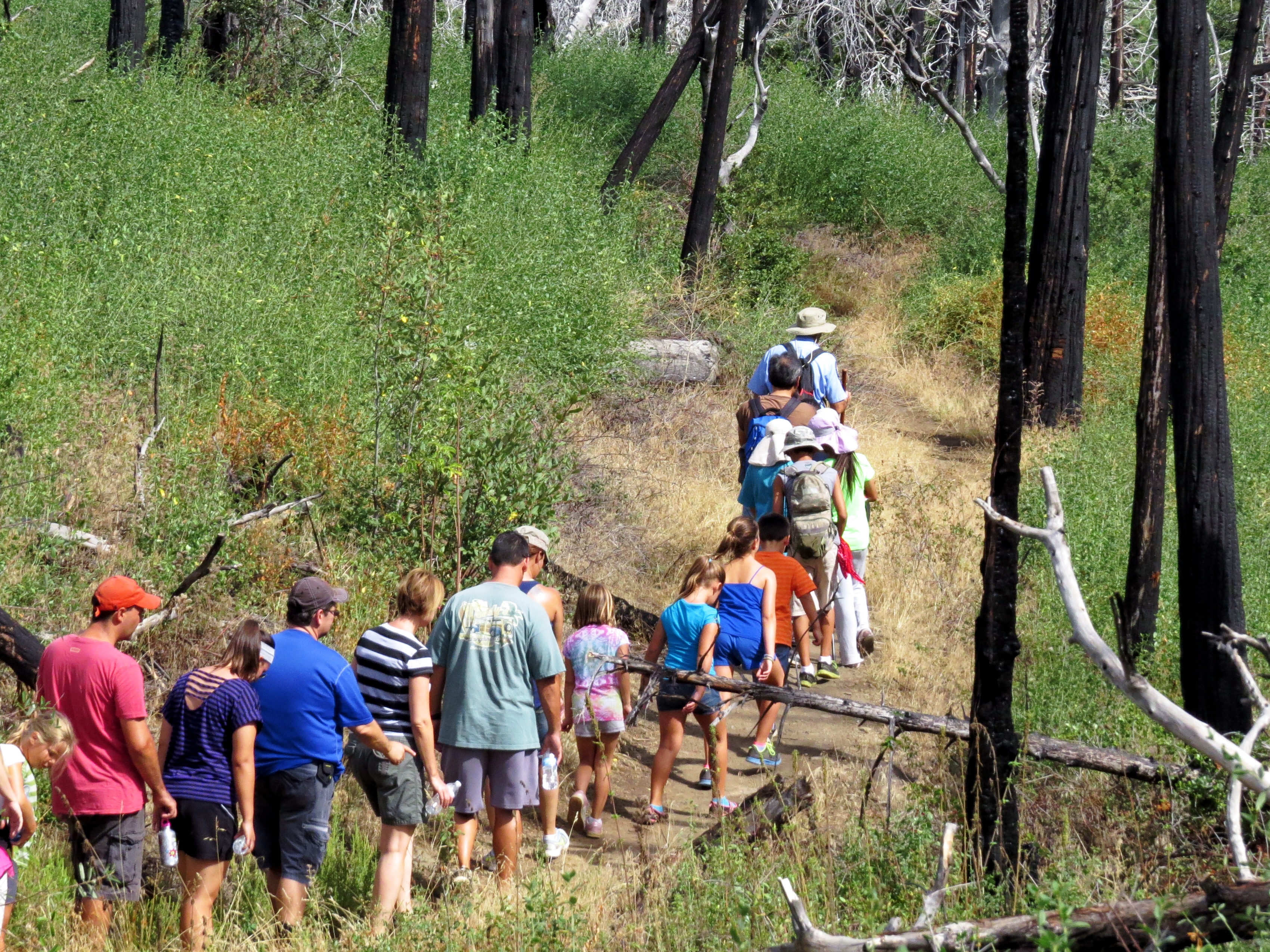 Guided Hike