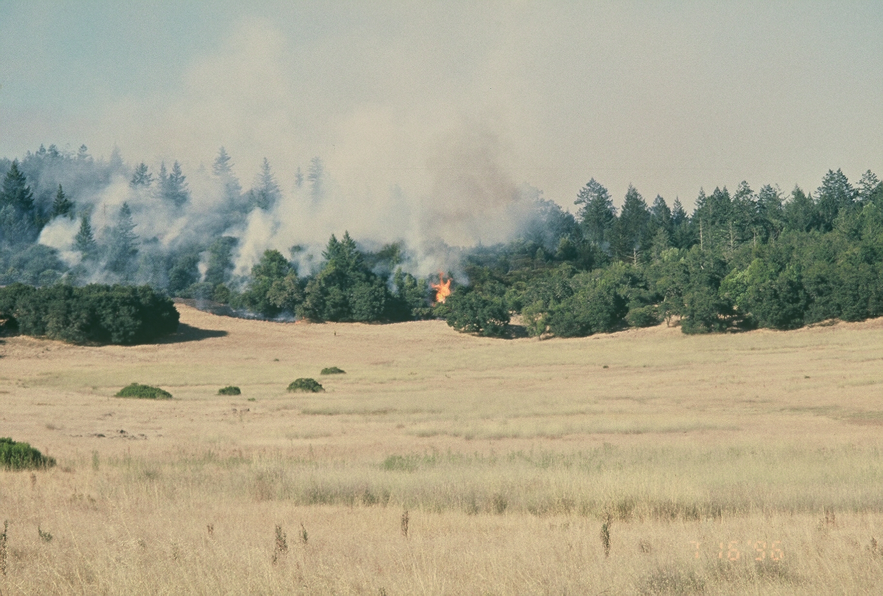 Prescribed Burn In Progress