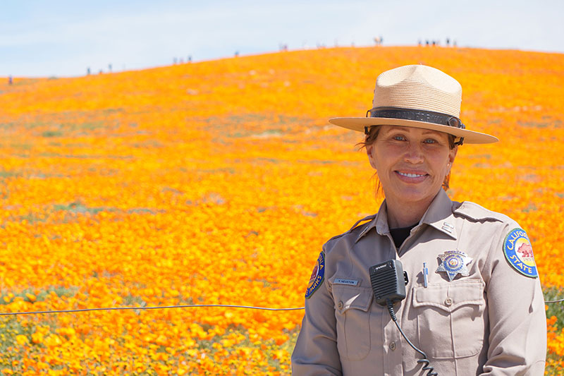 Ranger in wildflower bloom Ranger in wildflower bloom