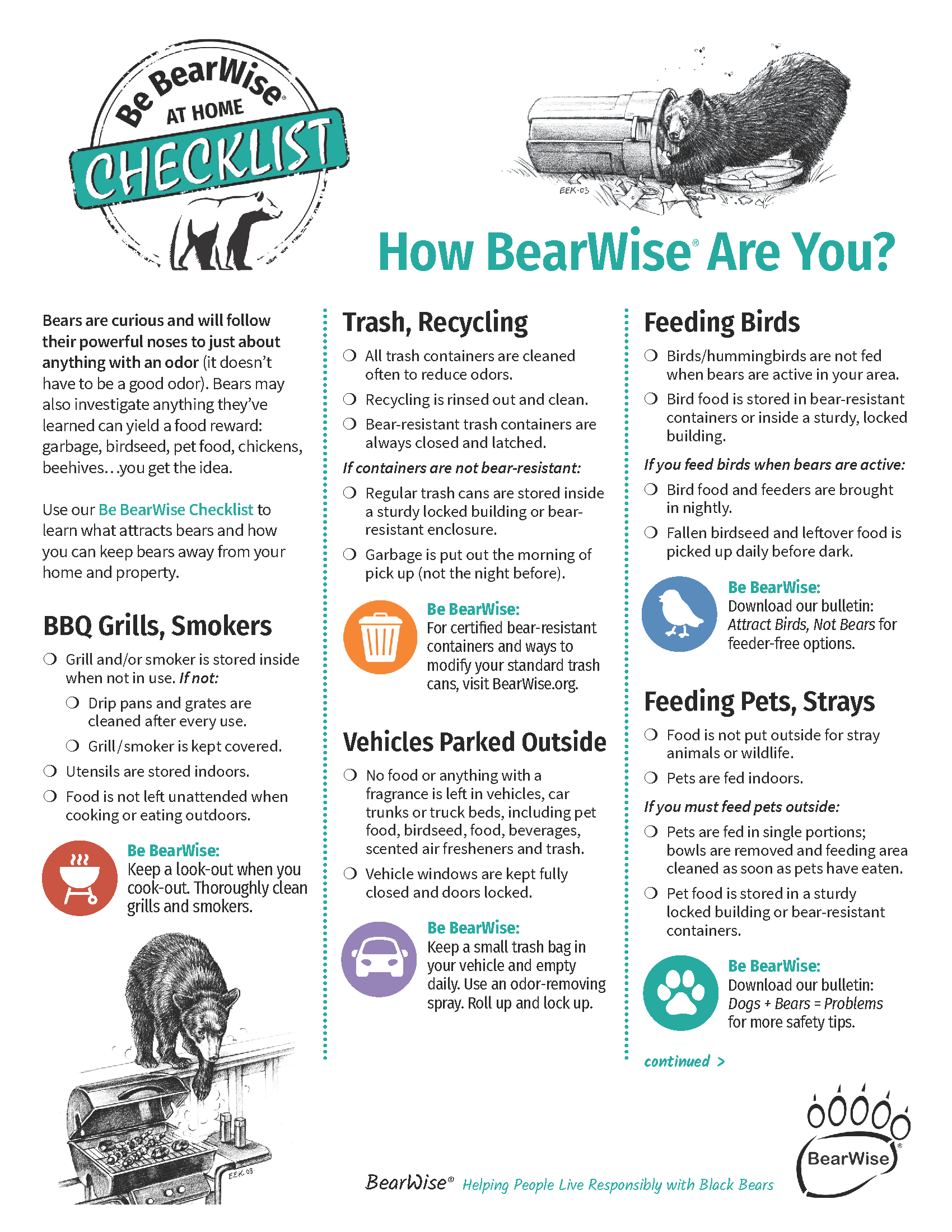 Bearwise image 1