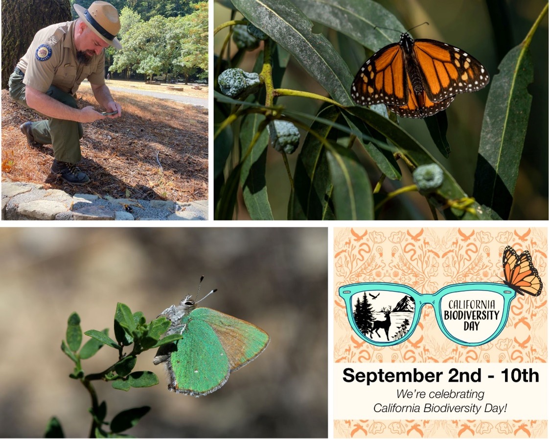 California Biodiversity Day Image