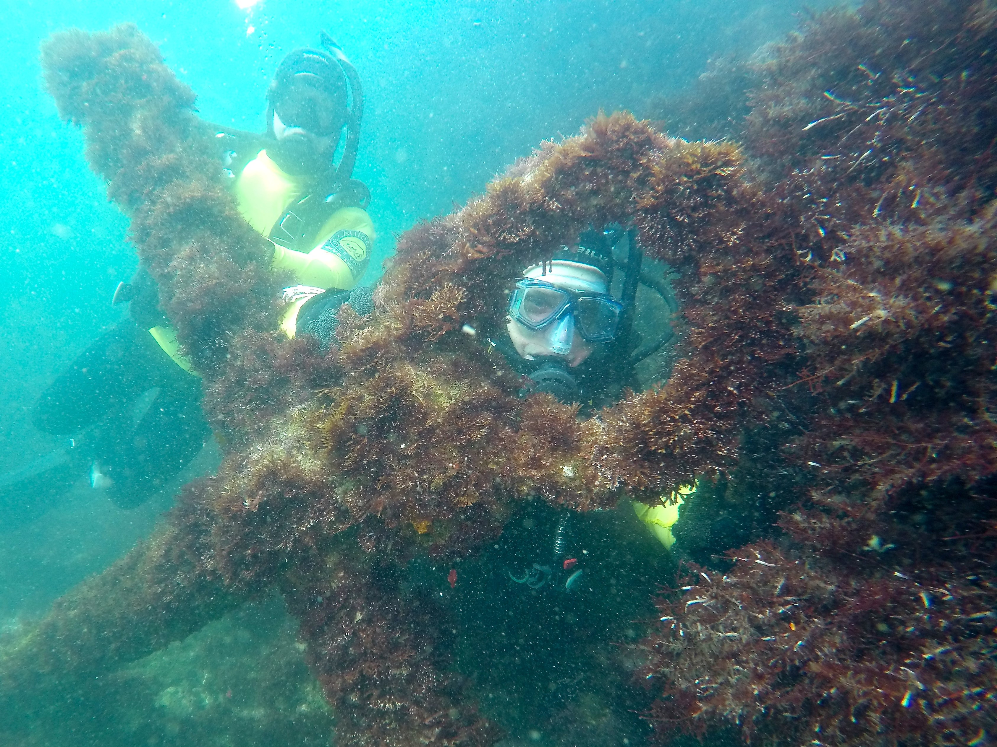 State Park divers at Crystal Cove State Park.