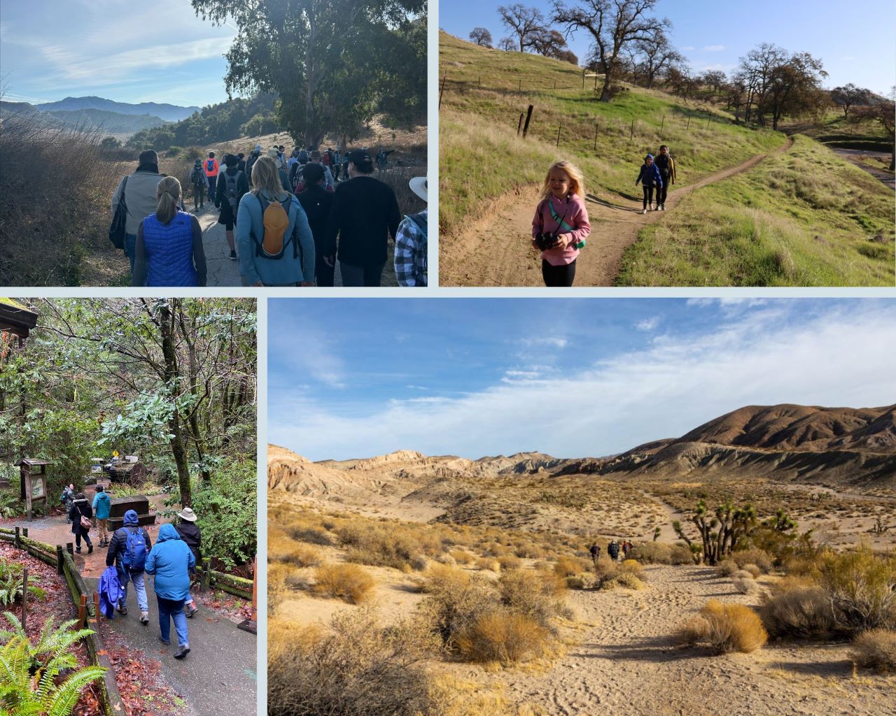 Photos from 2025 First Day Hikes: Top left/right: Malibu Creek State Park and Millerton Lake State Recreation Area. Bottom left/right: Humboldt Redwoods and Red Rock Canyon state parks.