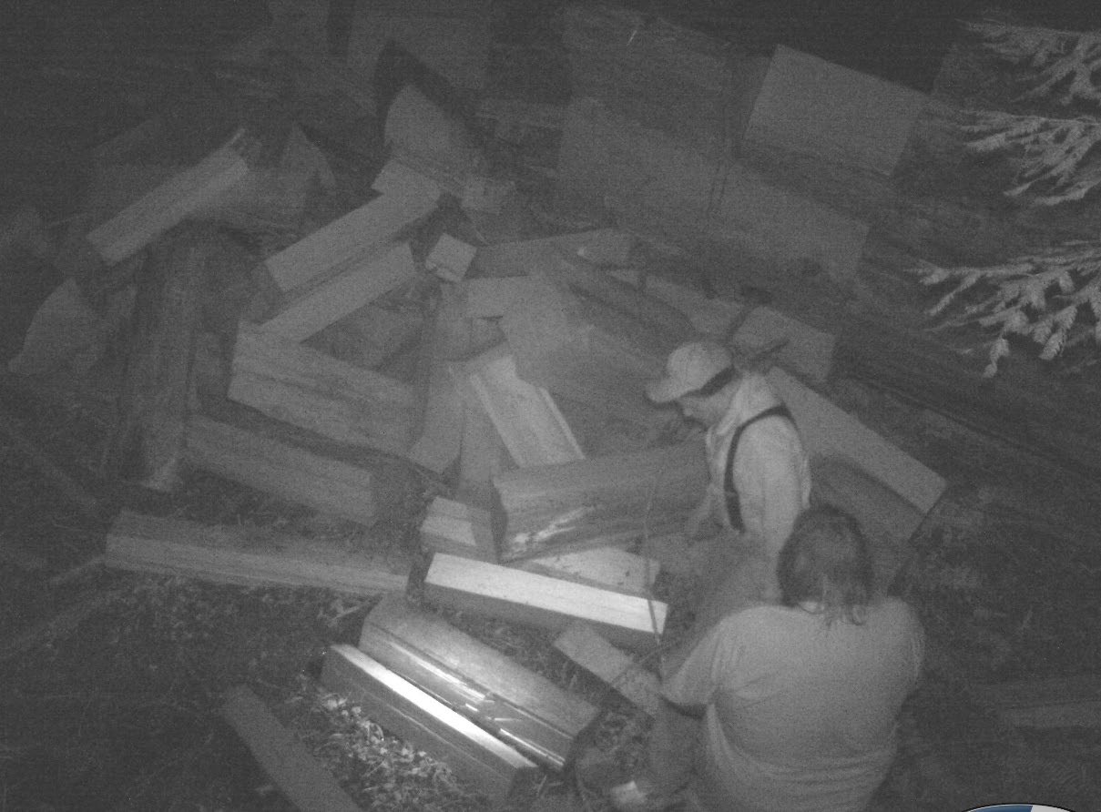 Humboldt Redwoods State Park surveillance video of poachers.