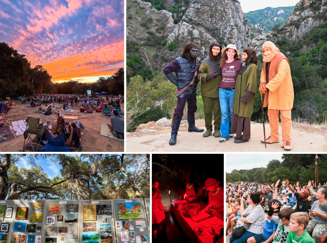 Malibu 50th Anniversary Collage Malibu 50th Anniversary Collage