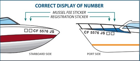 Correct placement of mussel fee sticker on boat hull graphic. 