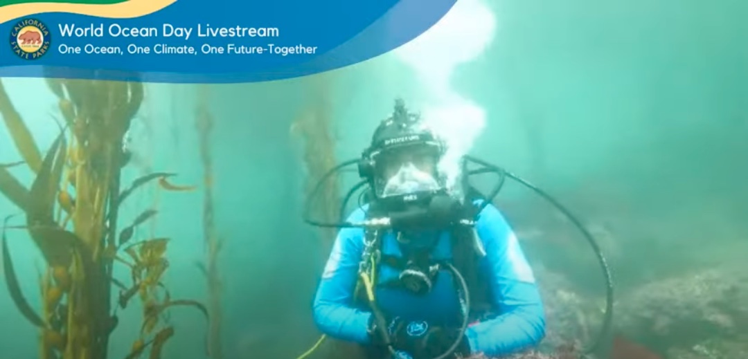 A diver speaking to students from Whalers Cove in Point Lobos State Natural Reserve during 2021 World Ocean Day underwater broadcast.