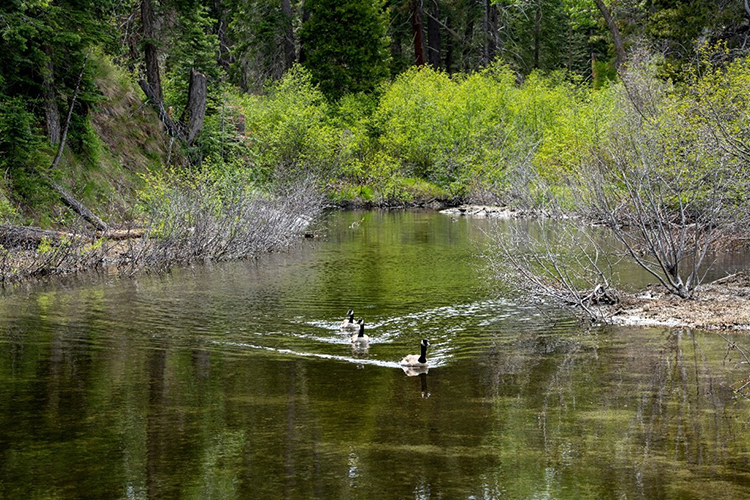 dukMé?em wáta. Photo from California State Parks