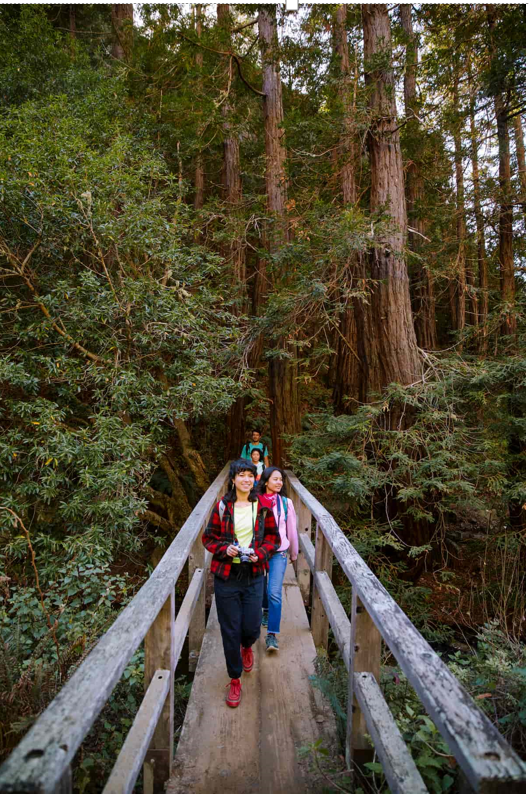 Julia Pfeiffer Burns State Park. Photo by Daniel Gorostieta, courtesy of Save the Redwoods League.