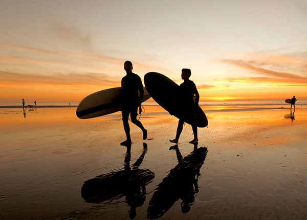 Image of Cardiff State Beach Surfers Image of Cardiff State Beach Surfers