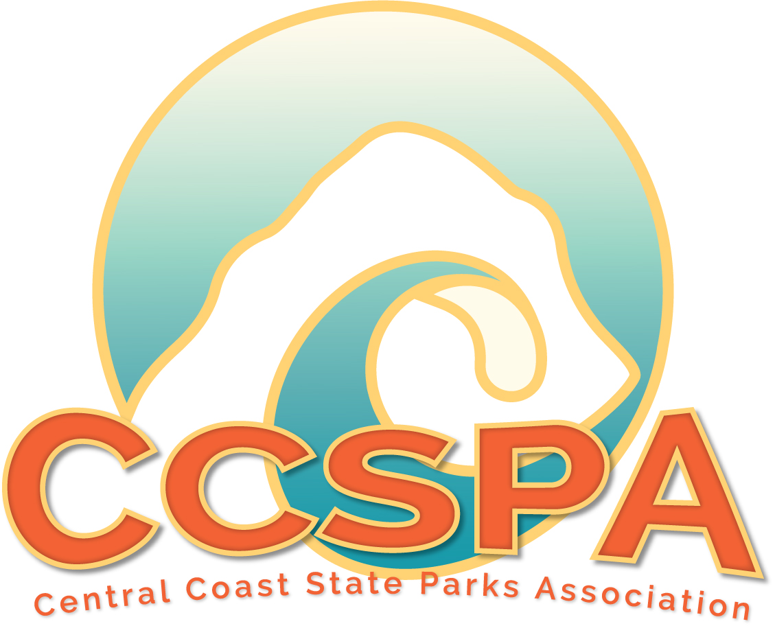 CCSPA logo